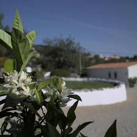 Suite Swimming Pool Quinta Da Eira 140 Years Old โลว์เล ภายนอก รูปภาพ